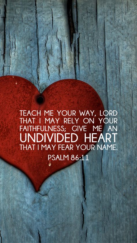 Psalm 86, Just Pray, Life Quotes Love, Favorite Bible Verses, Scripture Quotes, Verse Quotes, Bible Inspiration, Scripture Verses, Bible Verses Quotes