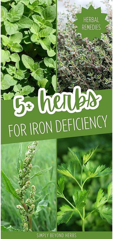 Herbs High In Iron, Medicinal Herbs Remedies, List Of Herbs, Herbs Medicine, Dandelion Greens, Herbal Remedies Recipes, Medicinal Herbs Garden, Herbal Plants, Iron Deficiency