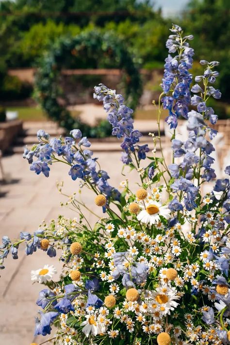 Cornflower Wedding, Pale Yellow Weddings, Cornflower Blue Wedding, Yellow Wedding Ideas, Blue Yellow Weddings, Yellow Flower Arrangements, Blue Flower Arrangements, Baby Blue Weddings, Yellow Wedding Theme