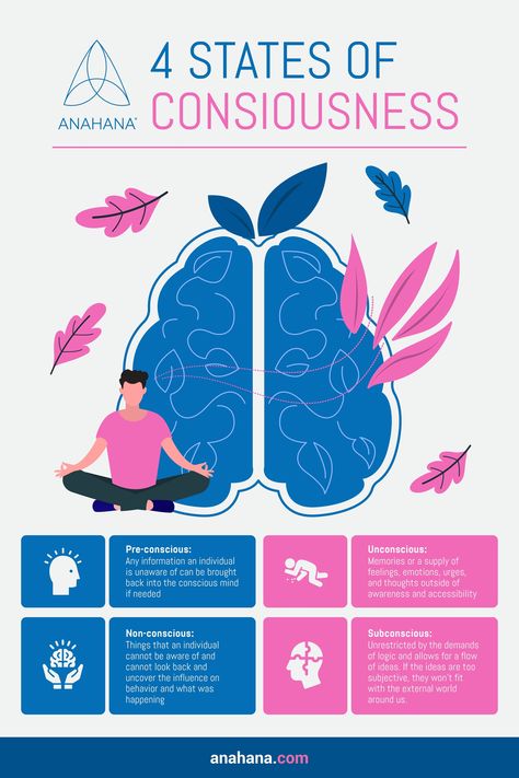 Consciousness Levels, What Is Consciousness, Human Consciousness, Level Of Consciousness, Information Theory, Conscious Awareness, The Human Mind, Cognitive Science, Levels Of Consciousness