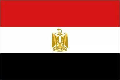 Egypt Flag Gif, Egyptian Flag, World Country Flags, Syria Flag, Egypt Flag, Different Flags, Funny Looking Cats, Countries And Flags, Italy Flag