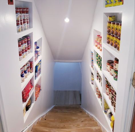 Basement Stairs Pantry Ideas, Basement Stairway Storage Shelves, Closet Above Basement Stairs Storage Spaces, Stairwell Pantry Ideas, Basement Stair Wall Storage Ideas, Basement Stair Pantry, Shelving In Stairwell, Stairway Pantry Storage Ideas, Cellar Stairs Ideas Basements