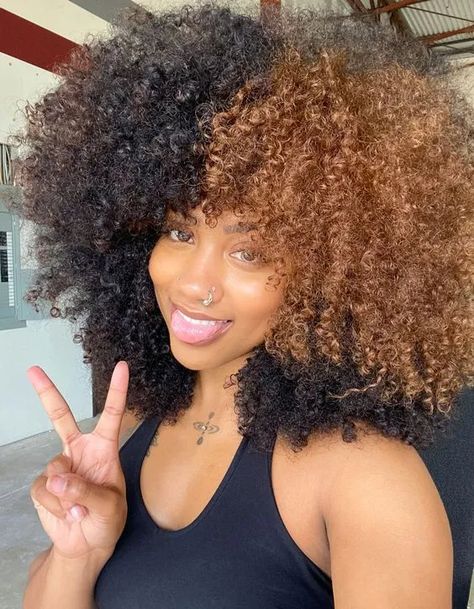 Hair Color Ideas For Dark Skin, Afro Highlights, Skunk Hair, Highlights Curly, Skunk Stripe, Dyed Curly Hair, Split Dyed Hair, Dyed Hair Inspiration, Colored Curly Hair