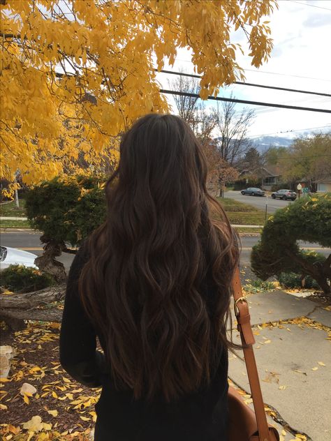 Fall balayage hair. Brunette balayage. Low lights. Long brunette. Brunette Aesthetic, Dark Brunette Hair, Long Brunette Hair, Brown Hair Inspo, Long Brunette, Long Brown Hair, Hair Inspiration Color, Fall Pictures, Hair Inspo Color