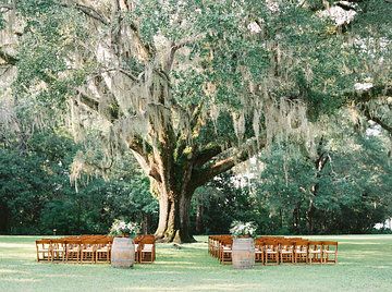 Photo from Cory + Rachel collection by Cassidy Carson Photography Palmer House Chicago, Charleston South Carolina Wedding, Sunrise Wedding, Middleton Place, Wedding Sparrow, Chateau Wedding, South Carolina Wedding, National Park Wedding, Spanish Moss