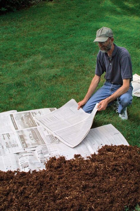 Four Ways to Remove Grass for a Garden Bed How To Remove Grass, Shed Landscaping, Lasagna Gardening, Flower Bed Edging, Garden Flower Beds, Front Porch Ideas Curb Appeal, Starting A Garden, Fine Gardening, Flower Bed