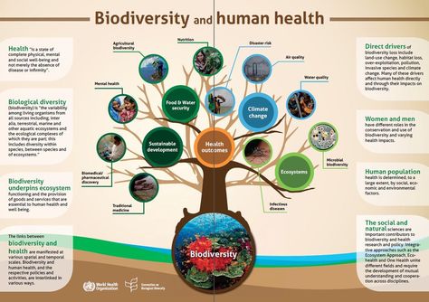 BIODIVERSITY and HUMAN HEALTH. #biodiversity #groworganic #healthysoil #healthyplants #healthyecosystems Water Security, Animal Agriculture, Social Well Being, Green Power, Energy Technology, Green Energy, Cbd Oil, Goods And Services, Renewable Energy