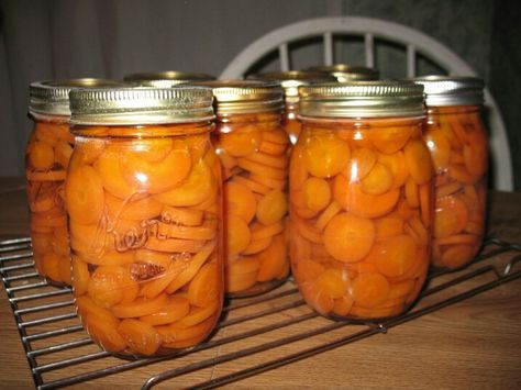 We don't bypass those big bags of "deer carrots" because there are still plenty of good carrots in the bag. I canned nearly 30 jars this fall from $10 worth of deer carrots, plus fed the scraps to the chickens & goats. At 86 cents a can in the store I think I did pretty good AND they're organic & no preservatives. Freezing Butter, Creative Canning, Canning Carrots, Pickled Recipes, Pickled Hot Peppers, Dehydrating Food Storage, Pickled Foods, Freeze Dried Vegetables, Canned Carrots