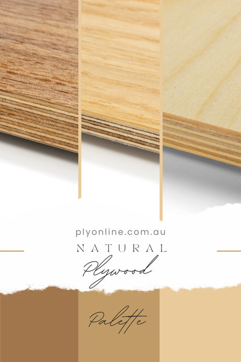 Three sheets of different natural plywood Plywood Ideas, Poplar Plywood, Birch Plywood, Plywood, Eco Friendly, Color, Nature