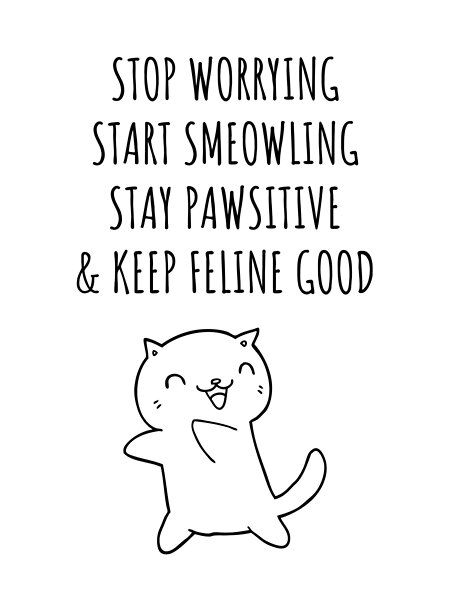 Motivational Cat Funny Card. Makes the perfect gift for the person that you want to cheer up and stay motivated. Cheering Up Meme Funny, Cheer Yourself Up, Things To Cheer Me Up, Funny Memes To Cheer Someone Up, Cheer Up Memes Funny, Cat Motivational Quotes, Cheer Up Meme Cute, Things To Cheer You Up, Cheer Up Memes