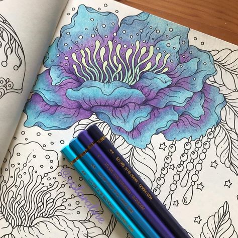 Aline ✏️ | New WIP from Magical Dawn by Hanna Karlzon. I’m using Caran d’ache Pablos #hannakarlzon #carandache #livredecoloriage #coloringpages… | Instagram Colored Pencils Prismacolor, Drawing Techniques Pencil, Rose Drawings, Caran Dache, Art Colored Pencil, Blending Colored Pencils, Portrait Fine Art, Portrait Pencil, Portrait Abstract