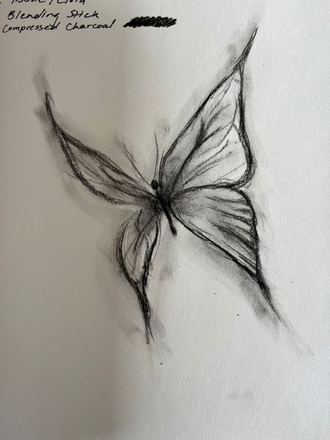 Drawing Ideas Butterflies, How To Draw A Detailed Butterfly, Sketch Of A Butterfly, Butterfly Pen Sketch, Soul Drawing Sketch, October Drawing Ideas, Aesthetic Butterfly Sketch, Drawing Ideas Aesthetic Pencil, Sketches Of Butterflies