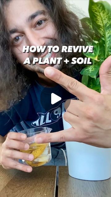 Armen Adamjan on Instagram: "How to revive a dead-looking plant or giving a plant a new home! 🌱🤩
.
.
.
.
#plants #hacks #tipsandtricks #diy #planttips #grow #howto #soil #upcycle #creativeexplained" Iron For Plants Diy, How To Revive Plants, Plant Hacks Videos, Plant Hacks Diy Projects, Miracle Grow Diy, Repotting House Plants, Plant Solutions, Plants Hacks, Growing Hacks