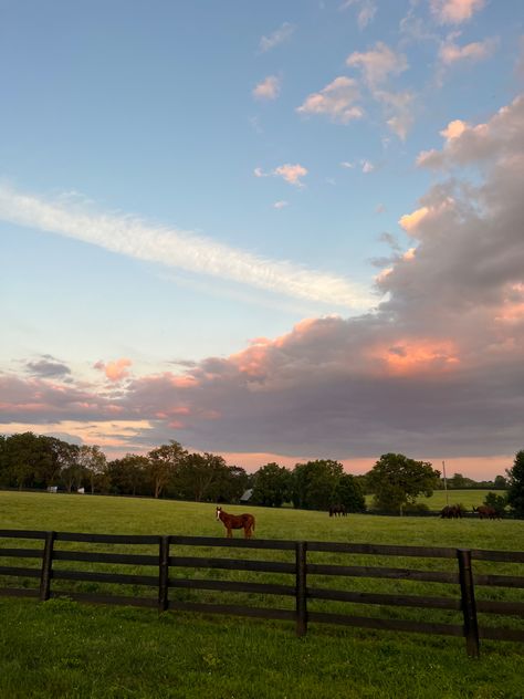 #kentucky #horsefarm #horse #sunset Kentucky Sunset, Kentucky Aesthetic, Kentucky Horse Farms, Southern Aesthetic, Horse Paddock, Future Farms, Beautiful Farm, Country Lifestyle, Hiking National Parks