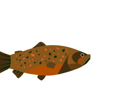 Fish and man Fish Movement Animation, Fish Animation, Animation Gif, Fish Swimming, Motion Graphic, Carp, Fish Tank, Motion Graphics, Homework