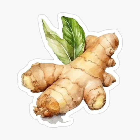 Ginger Illustration, Ginger Aesthetic, Cute Ginger, Aesthetic Sticker, Nutrition And Dietetics, Sticker Cute, Bullet Journals, Illustration Artists, Animated Cartoons