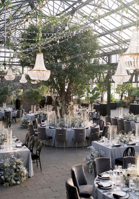 Planterra Conservatory Wedding, Planterra Conservatory, Conservatory Wedding, Events Place, Love More, Wedding Goals, Days Of Our Lives, To Night, Over It