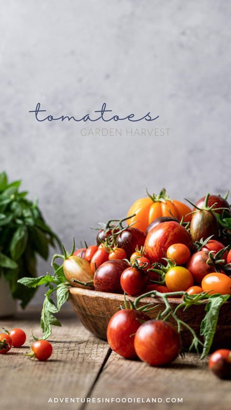 Juicy and refreshing tomato recipes to quench the summer heat. Tomatoes Food Photography, Tomato Food Photography, Tomatoes Photography, Tomato Photography, Lifestyle Food Photography, Vegetable Photography, Vegetables Photography, Summer Tomato, Fruit Photography