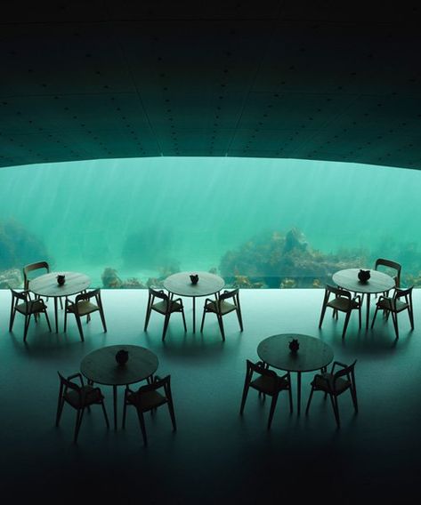 snøhetta completes europe's first underwater restaurant in norway Concept Restaurant, Norway Design, Underwater Restaurant, Artificial Reef, Carlo Scarpa, Marine Environment, Marine Biology, Ways Of Seeing, Time Magazine