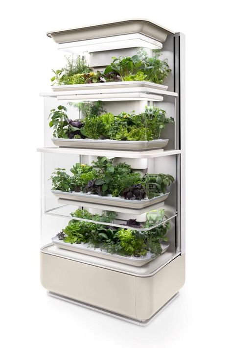 Garden Ideas Indoor, Indoor Gardening Ideas, Indoor Garden Apartment, Home Hydroponics, Vertical Farm, T3 Vw, Indoor Farming, Indoor Vegetables, Garden Apartment