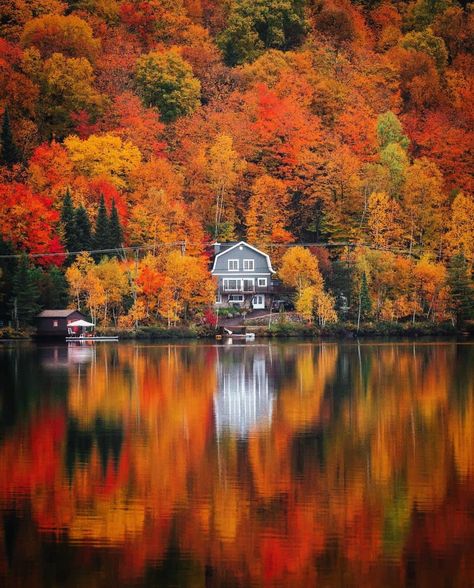 Quebec - Canada 🍁🍁🍁 . Pic by ✨@stevint✨ #bestplacestogo for a feature 🍁 Ottawa, Lake Winnipesaukee, Autumn Scenery, Take Better Photos, Quebec Canada, Cool Landscapes, Canada Travel, Travel Insurance, Landscape Photos