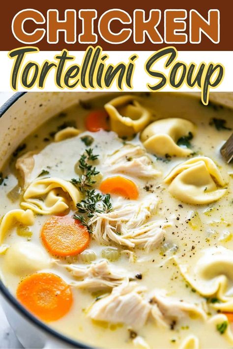 Warm up with a bowl of this amazing chicken tortellini soup! It's creamy, satisfying, and guaranteed to please. Damn Delicious Creamy Tortellini Soup, Chicken Noodle Soup With Tortellini, Chicken Alfredo Tortellini Soup Crockpot, Chicken Soup Tortellini, Soup Chicken Tortellini, Creamy Chicken Tortellini Soup Recipes, Chicken Tortilini Recipes Soups, Pioneer Woman Tortellini Soup, Easy Tortellini Soup Recipes