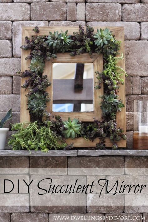 To customize a mirror to the décor in your bathroom, hallway or other living space, edge the mirror with these diy mirror frame ideas. Succulent Mirror, Flower Mirror Frame, Easy Diy Mirror Frame, Diy Mirror Frame Ideas, Diy Round Mirror, Mirror Frame Ideas, Diy Mirror Frame, Succulent Diy, Mirror Frame Diy