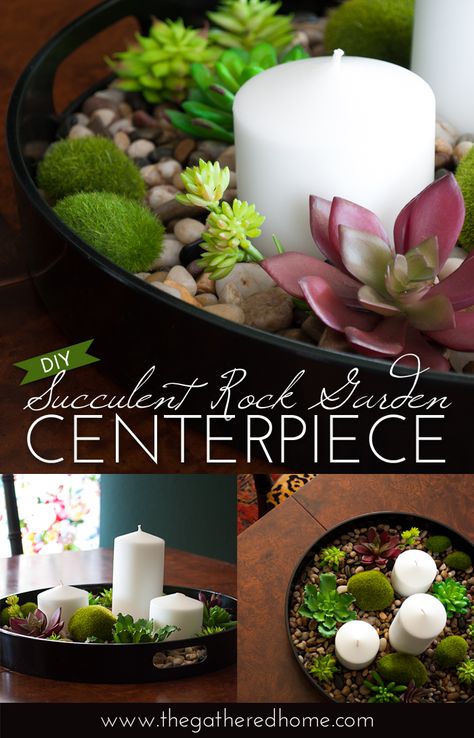 Learn how to create a soothing succulent rock garden centerpiece - inspired by an expensive Crate and Barrel look! Centerpiece Succulent, Succulent Rock Garden, Cactus Terrarium, Garden Centerpiece, Kitchen Table Centerpiece, Kitchen Plants, Tafel Decor, Succulent Centerpieces, Deco Nature