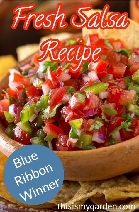 Award winning FRESH SALSA recipe! The story behind this blue ribbon winner! #salsa #tomato #onion #pepper #cilantro #blueribbon #farmtotable #gardenfresh #thisismygarden Fresh Salsa Recipe Homemade, Best Salsa Recipe, Mexican Salsa Recipes, Tomato Salsa Recipe, Easy Homemade Salsa, Fresh Salsa Recipe, Easy Salsa Recipe, Authentic Mexican Recipes, Salsa Guacamole