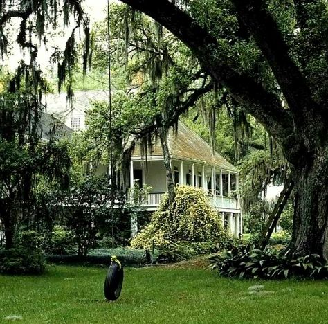 Southern Gothic Aesthetic, Louisiana Plantations, Louisiana Bayou, Louisiana Travel, Southern Plantations, Louisiana Homes, Colonial Design, French Colonial, Southern Homes