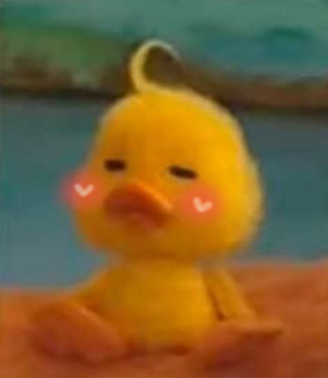 mofy duck, cute, hearts Duck Cute, Cute Hearts, On Twitter, Yellow, Twitter