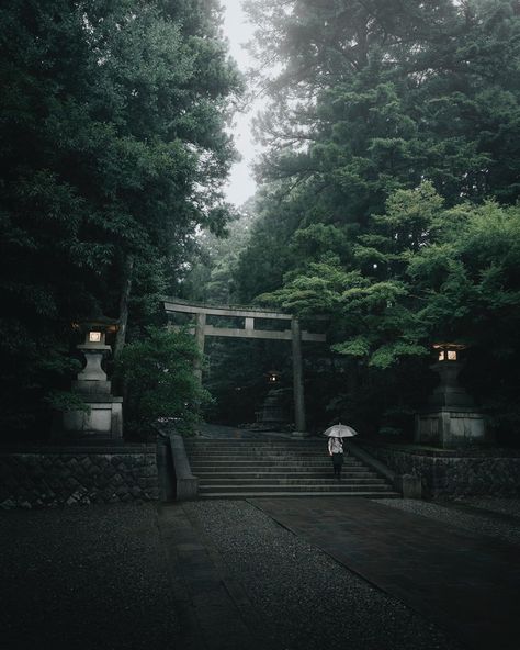 Japan Rain Aesthetic, Green Chinese Aesthetic, Haunted Japan, Rain In Japanese, Rain In Japan, Akira Core, Rainy Nature, Japan Rain, Japan Shrine