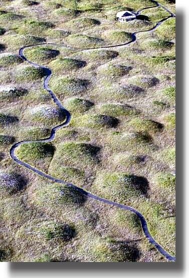 Mima Mounds - The bizarre prairie is full of thousands of strange and wondrous "Mounds of Mystery" or Mima Mounds - soil and gravel mounds that are closely-packed, some 6-8' high and about 30' across. The "pimpled prairies" cover about 10,000 acres and include tracts on Fort Lewis and near Yelm, Roy and Spanaway. The best location to view the mounds is the Mima Prairie near Little Rock, close to exit 95 off I-5. Wa State, Evergreen State, Shows On Netflix, Earth Science, Best Location, Amazing Places, Science And Nature, Washington State, Mount Rainier