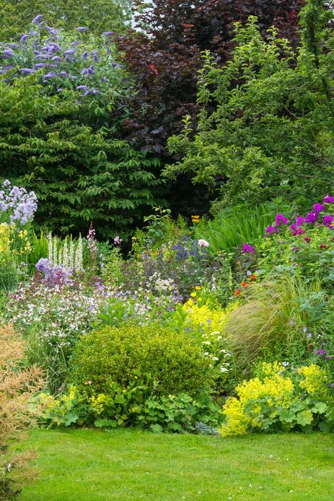 variety english gardens Best Perennials For Shade, Emily Murphy, Ground Orchids, Purple Flowering Plants, English Garden Design, Shade Loving Perennials, Lenten Rose, Best Perennials, Longwood Gardens