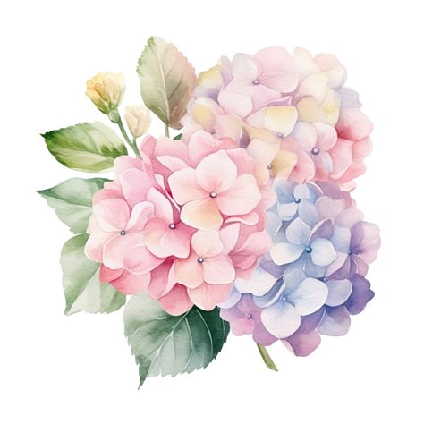 Pink hydrangea bouquet