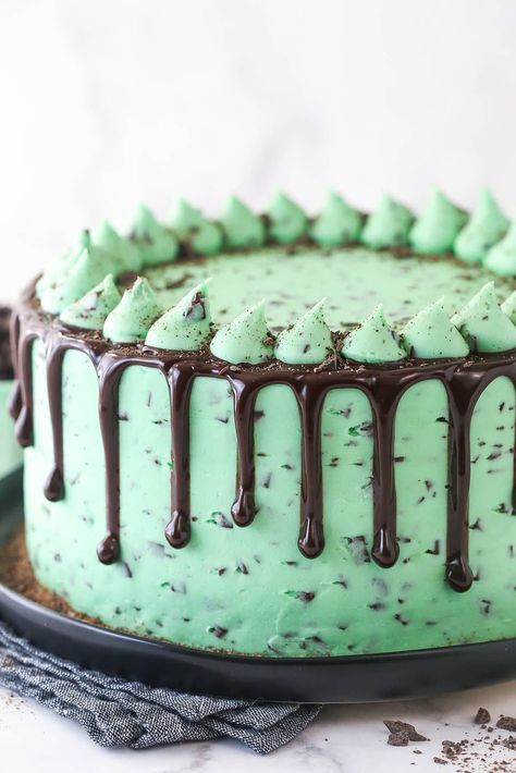 The Best Mint Chocolate Cake - A Mint Lover's Dream Dessert Andes Mint Cake Recipe, Mint Chocolate Chip Ice Cream Cake, Mini Chocolate Cheesecakes, Mint Chocolate Recipes, Super Moist Chocolate Cake, Mint Desserts, Dream Dessert, Mint Chocolate Ice Cream, Mint Chocolate Cake