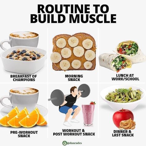 Calories Tutorial | Nutrition on Instagram: “🔥Routine to build muscle🔥⠀ -⠀ Are you trying to build muscle?⠀ Whether you work or go to school, how you schedule your day, and your…” Bulking Meals, Healthy Weight Gain Foods, Food To Gain Muscle, Preworkout Snack, Weight Gain Meals, Healthy High Protein Meals, Comidas Fitness, Post Workout Snacks, Foods And Drinks