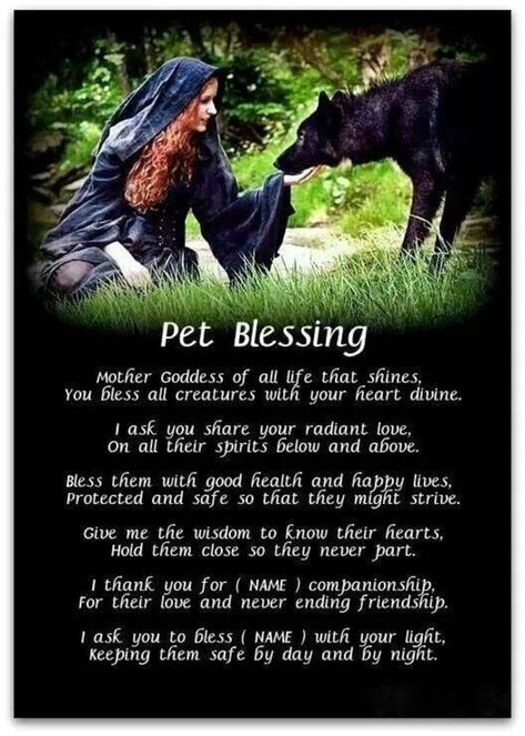 Pet Blessing, Wiccan Protection, Protection Spell, Magick Spells, Wiccan Spell Book, Blessed Be, She Wolf, Wicca Witchcraft, Lovely Animals