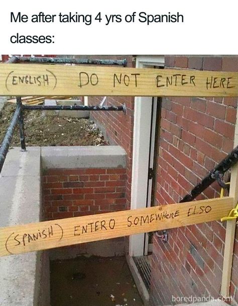 30 Funniest Memes About Spanish Language For People That Tried Learning It Funny Memes Images, Crush Memes, Girl Memes, Friend Memes, Spanish Humor, Spanish Memes, Spanish Class, Anime Memes Funny, Disney Memes