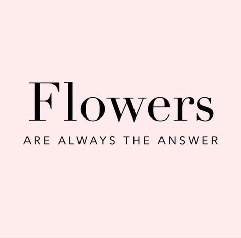 In every season, flowers are always the answer. Experience that at angiesfloraldesigns.com #flowerpower Fresh Flowers Quote, Phrases About Flowers, Flower Therapy Quotes, Flower Lover Word, Florist Quotes, Florist Quotes Inspiration, Flower Text, Online Flower Delivery, Online Florist