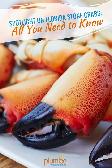 Stone Crab Claws Recipe, Stone Crab Claws, Crab Restaurant, Boil Recipes, Mustard Dipping Sauce, Crab Meat Recipes, Seafood Boil Recipes, Florida Fish, Stone Crab