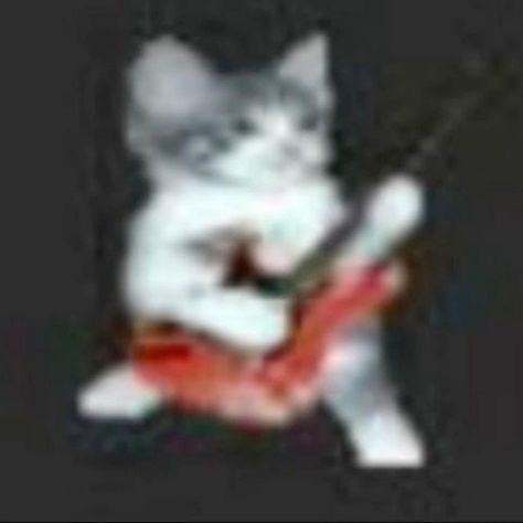 A Cat, Guitar, Reading, Red