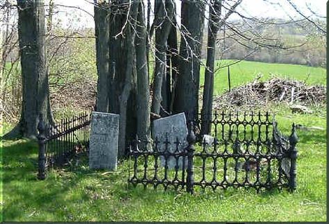 family plot Family Graveyard, Southern Gothic, Addams Family, Reference Photos, Graveyard, Outdoor Decor