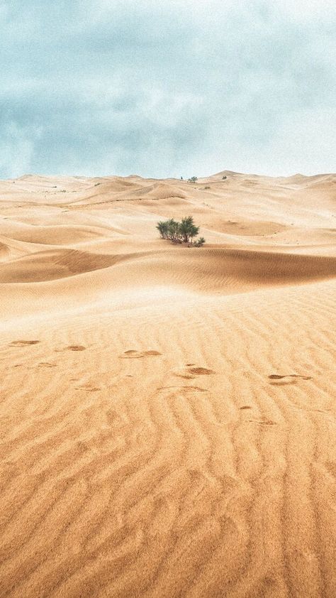 Desert Dune Sand Landscape background Desert Background Wallpapers, Desert Apocalypse, Desert Pics, Desert Images, Dune Landscape, Desert Photos, Desert Wallpaper, Sand Background, Sand Landscape