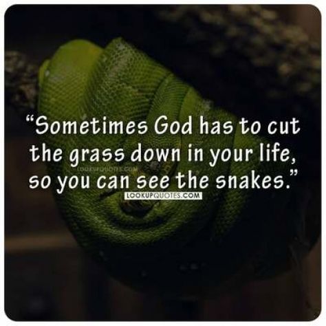 Sometimes God has to cut the grass down in your life, so you can see the snakes. Grass Quotes, Snake Quotes, Mothers Day Status, Snake In The Grass, Breakup Advice, Powerful Inspirational Quotes, Best Facebook, Church Quotes, Truth Hurts