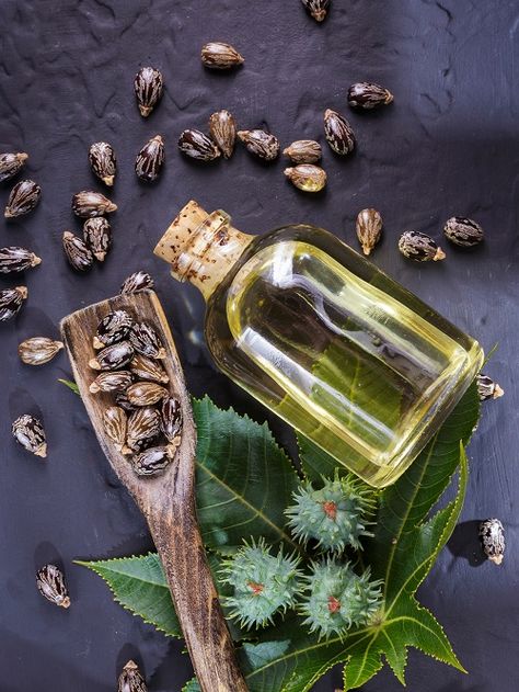 Jamaican castor oil