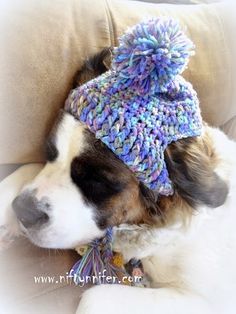 Free Crochet Pattern ~A Silly Hat For My Silly Dog  http://www.niftynnifer.com/2015/01/free-crochet-pattern-silly-hat-for-my.html #Crochet #Hat #Dog Couture, Crochet Dog Hat Free Pattern, Crochet Dog Hat, Crochet Dog Clothes, Silly Hats, Crochet Dog Patterns, Crochet Dog Sweater, Dog Hat, Crochet Dog