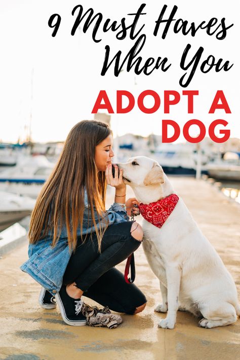 Adopting A Dog, Dog Essentials, Adopt A Dog, Dog Care Tips, Adoption Process, New Dog, Puppy Adoption, A Puppy, Dog Care