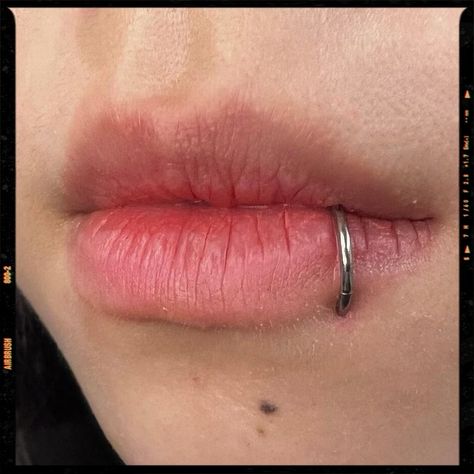 Lip Piercing Persing Lips, Labret Piercing Ring, Lip Piercing Labret, Snake Bite Piercing, Mouth Piercings, Piercing Inspiration, Lip Piercing Jewelry, Face Piercings, Cool Piercings