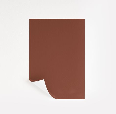 Burnt Sienna Paint Sample by Benjamin Moore (1196) | Peel & Stick Paint Sample Sienna Paint Color, Paint Sample, Burnt Sienna, Paint Samples, Home Reno, Benjamin Moore, Color Samples, Farrow Ball, Sherwin Williams